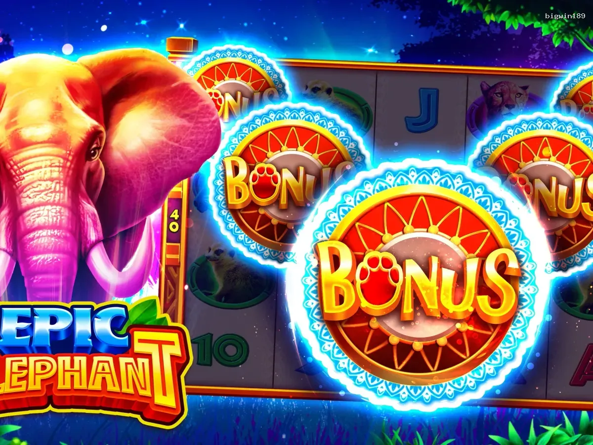 Akses bigwin189 VIP Premium screenshot